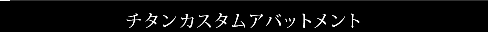 チタンカスタムアバットメント