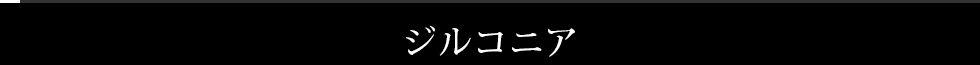 ジルコニア